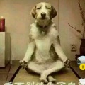 书友1329140198的头像