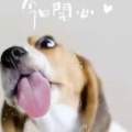 话梅的头像
