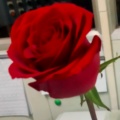 一定不让书虫久等催更的头像