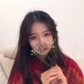 哈哈哈的头像