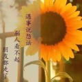 书友966080697的头像
