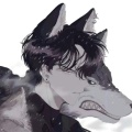 黎陌星辰的头像
