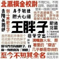 思宁念红的头像
