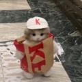 欢乐的龙王在摇花手的头像