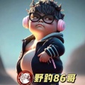 军哥的头像