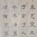书友450234304的头像