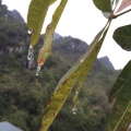 燕儿的头像