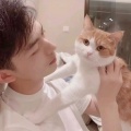 清欢故梦的头像