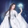 仙殇的头像