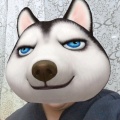君太平的头像