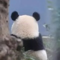 无晴姐姐的头像