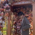 Michael的头像