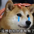 北荒的头像