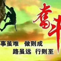 豌豆侠的头像