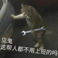 电瓶车的头像