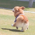 蘇北的头像