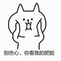 零度叶子的头像