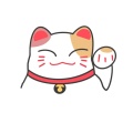 大脸萌的头像