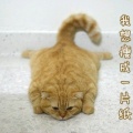 720109839的头像