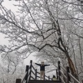 綻放的青春的头像