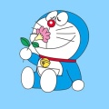 南柒的头像