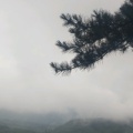 knowing的头像
