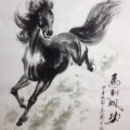 鑫驯的头像