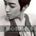 书友901475660的头像