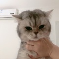 书友768393905的头像