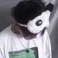 落俗的头像