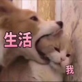 书友1212241687的头像
