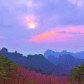 石头的头像