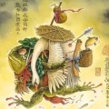 奈格宝的头像