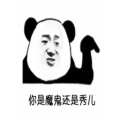 薛定谔的猫的头像