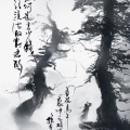 Windyhill的头像
