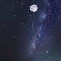 枕星河的头像