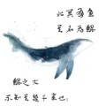北冥的头像