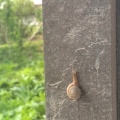 时代L前进的头像