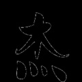 书友942260683的头像