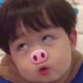书友1334338025的头像