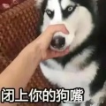 云初岚的头像