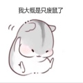 鹿鹿鹿鹿鹿鹿的头像
