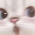 逍遥道友的头像