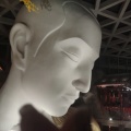 大禹的头像
