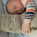 奉旨嚣张的头像