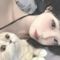 懒惰的总裁的头像