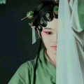 扶摇直上九万里的头像