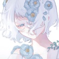 鹤菇的头像