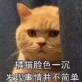 橘小猫丶的头像