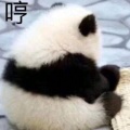 一世温柔的头像